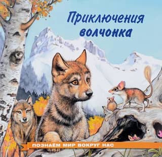 Exploring the World Around Us: The Adventures of a Wolf Cub