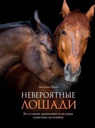 Incredible Horses: All About the Most Graceful and Powerful Creatures on the Planet