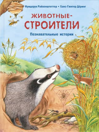 Animal Builders: Educational Stories