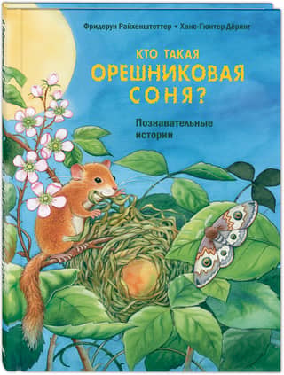 Who is the Hazel Dormouse? Educational Stories