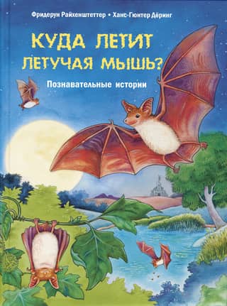 Where does the bat fly? Educational stories