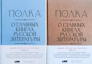 Полка. О главных книгах русской литературы. Том 3–4