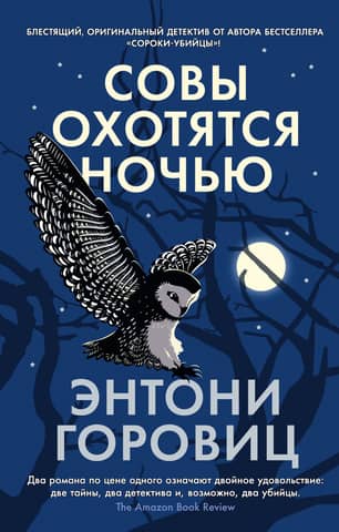 Owls hunt at night
