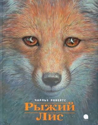 Red Fox