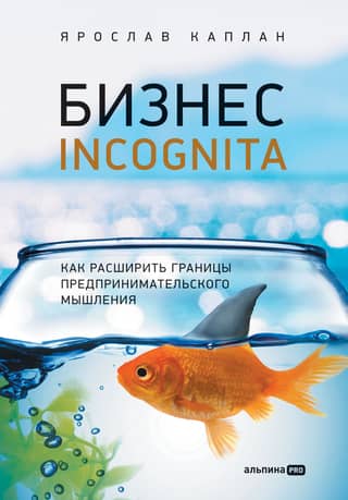 Business Incognita: How to Expand the Boundaries of Entrepreneurial Thinking