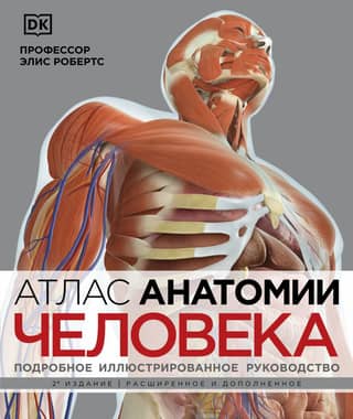 Atlas of Human Anatomy: A Comprehensive Illustrated Guide