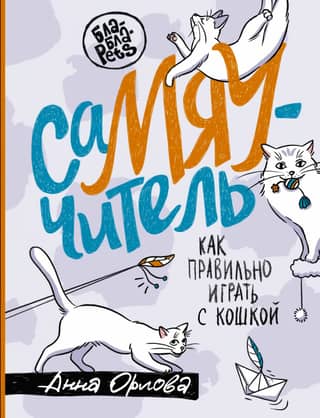 SamYaTeacher. How to play with a cat properly