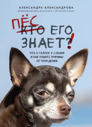 Dog knows! What's going on in a dog's head, and how to understand the reasons for its behavior