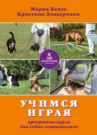 Learning Through Play: A Companion Dog Training Program
