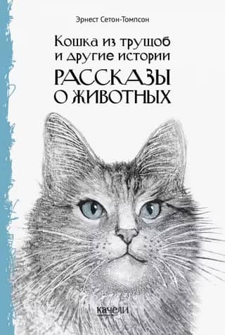 Slum Cat and Other Stories. Animal Stories