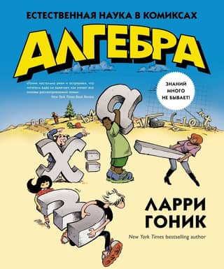 Algebra: Science in Comics