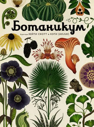 Botanicum