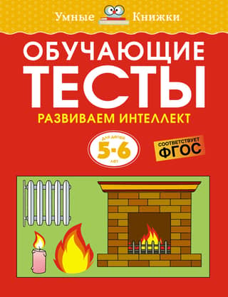 Educational tests. Developing intelligence. 5-6 years old.