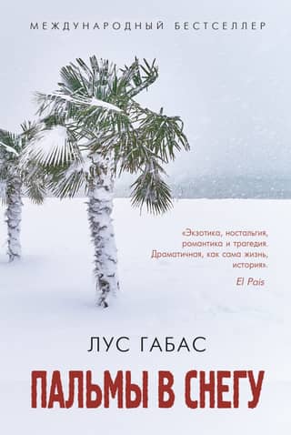 Palm trees in the snow