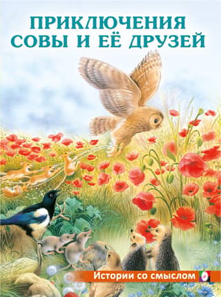 The Adventures of the Owl and Her Friends