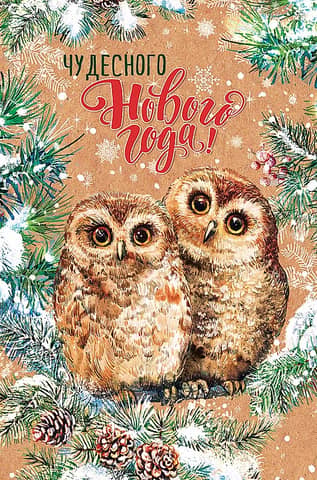 Postcard. Have a wonderful New Year! Owls with fir cones.