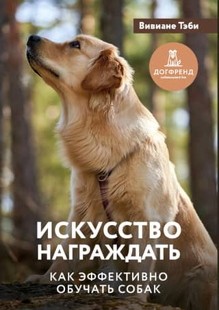 The Art of Rewarding: How to Effectively Train Dogs
