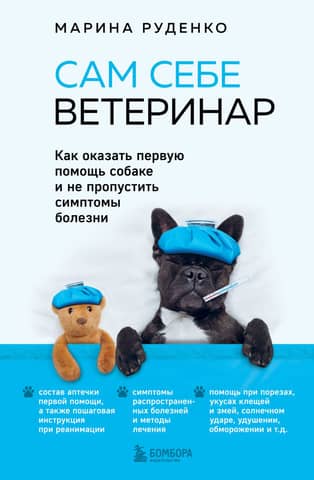 Be Your Own Vet: How to Provide First Aid to Your Dog and Spot Signs of Illness