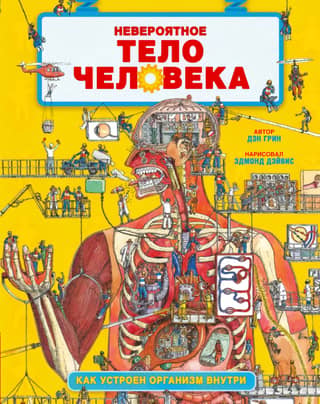 The Incredible Human Body: How the Body Works Inside