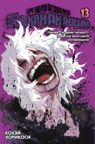 My Hero Academia: Book 13