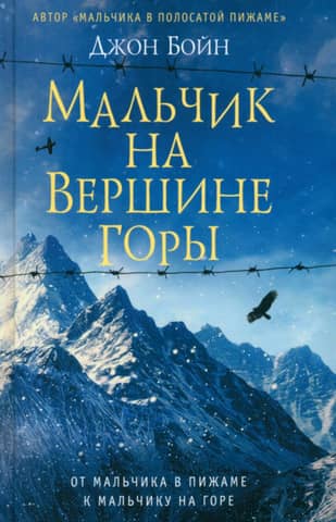 A boy on top of a mountain
