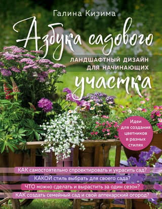 Gardening Basics: Landscape Design for Beginners