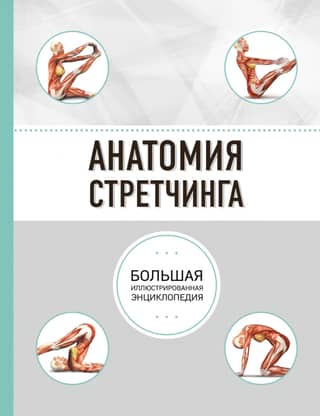 Stiepšanās anatomija: pilnīga ilustrēta enciklopēdija