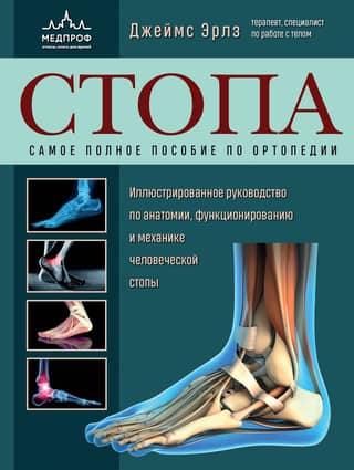 Foot. The most comprehensive guide to orthopedics.