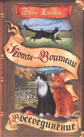 Starbeam's Revenge: Book 2: Reunion
