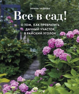 Let's get to the garden! How to turn your garden into a paradise