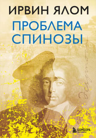 The Spinoza Problem