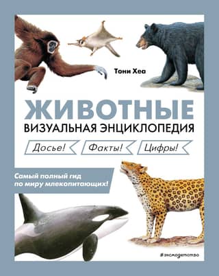 Animals: A Visual Encyclopedia