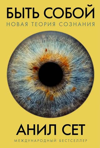 Being Yourself: A New Theory of Consciousness