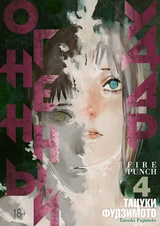 Fire Strike: Book 4