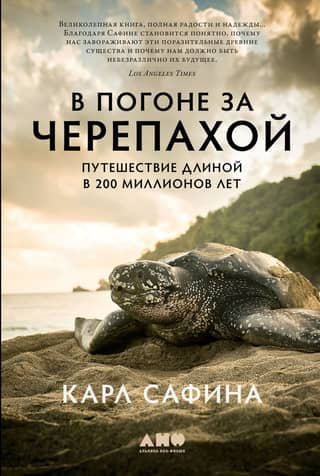 Chasing the Turtle: A 200-Million-Year Journey