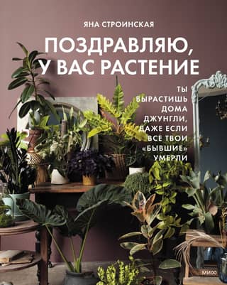 Congratulations, you have a plant. You'll grow a jungle at home, even if all your exes are dead.