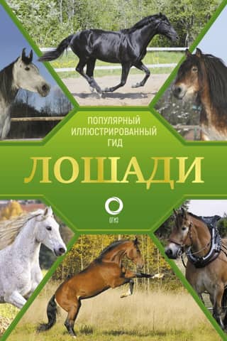 Horses: A Popular Illustrated Guide