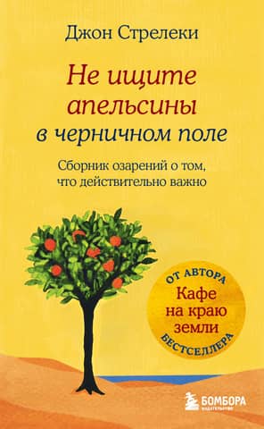 Don't Look for Oranges in a Blueberry Field: A Collection of Insights on What's Really Important