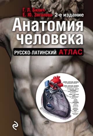 Human Anatomy: Russian-Latin Atlas