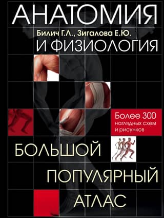 Anatomy and Physiology: A Large Popular Atlas