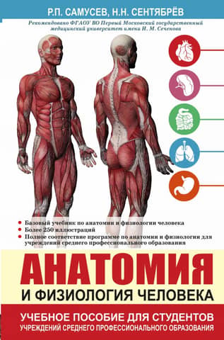 Human anatomy and physiology