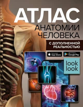 Augmented Reality Atlas of Human Anatomy