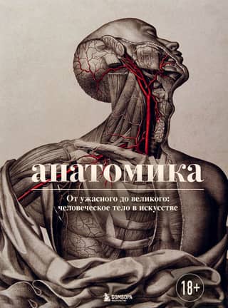 Anatomy. From the Horrible to the Sublime: The Human Body in Art