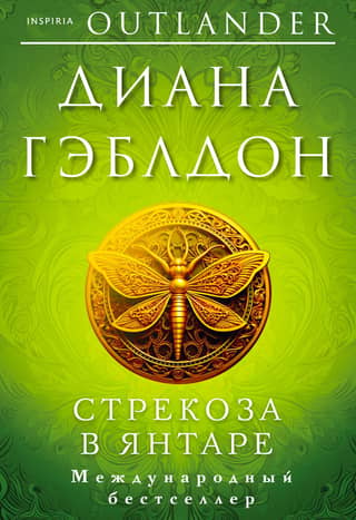 Dragonfly in amber