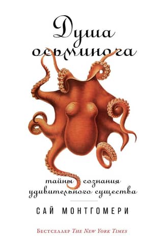 The Octopus's Soul: Secrets of the Mind of an Amazing Creature