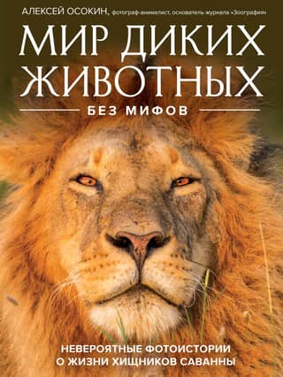 The world of wild animals without myths. Incredible photo stories about the lives of savannah predators.