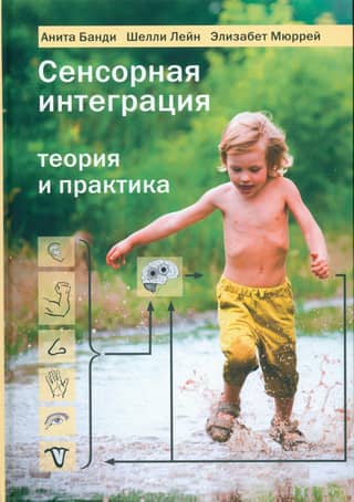 Sensory Integration: Theory and Practice