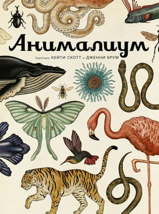 Animalium