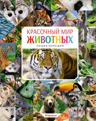 The Colorful World of Animals. Encyclopedia