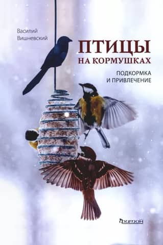 Birds at feeders. Feeding and attraction